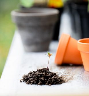 Gräsklippning Kungsbacka: så får du en tät, grön och lättskött gräsmatta